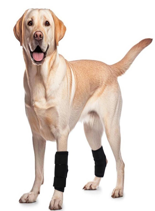 ROZKITCH Dog Leg Protector for Rear Hock Joint or Front Leg Knee, 1 Pair of Dog Leg Compression Wrap Sleeve for Anti Licking Carpal Support Ankle Support Protect Injury Sprain Torn ACL CCL Black L - Image 1